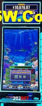 VIP Casino 202Bet