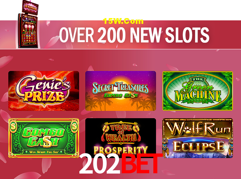 Bonus Features 202Bet